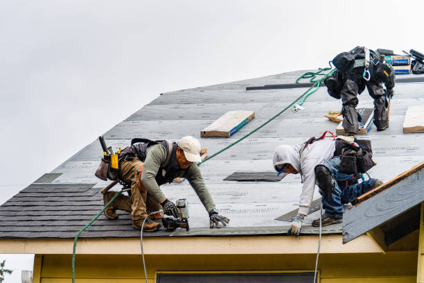 Professional Roof Installation technician working in New Lothrop, MI